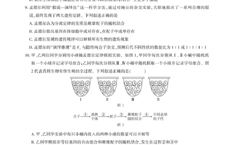 高一期中联考-生物试卷_2025年05月试卷_0521湖北省&ldquo;荆、荆、襄、宜四地七校考试联盟&rdquo;2024-2025学年高一下学期期中联考
