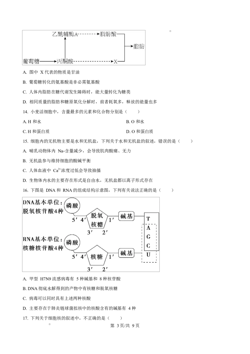 黑龙江省牡丹江市第二高级中学2025-2026学年高一上学期期中考试生物试卷（原卷版）_2025年12月高一试卷_251204黑龙江省牡丹江市第二高级中学2025-2026学年高一上学期期中（全）