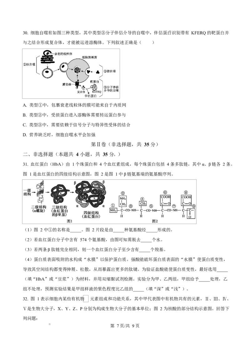 黑龙江省牡丹江市第二高级中学2025-2026学年高一上学期期中考试生物试卷（原卷版）_2025年12月高一试卷_251204黑龙江省牡丹江市第二高级中学2025-2026学年高一上学期期中（全）