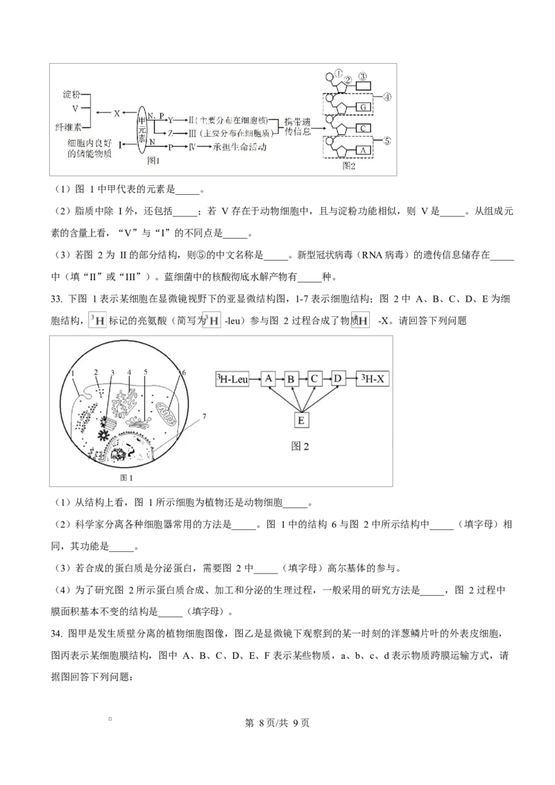 黑龙江省牡丹江市第二高级中学2025-2026学年高一上学期期中考试生物试卷（原卷版）_2025年12月高一试卷_251204黑龙江省牡丹江市第二高级中学2025-2026学年高一上学期期中（全）