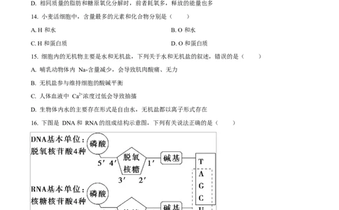 黑龙江省牡丹江市第二高级中学2025-2026学年高一上学期期中考试生物试卷（原卷版）_2025年12月高一试卷_251204黑龙江省牡丹江市第二高级中学2025-2026学年高一上学期期中（全）