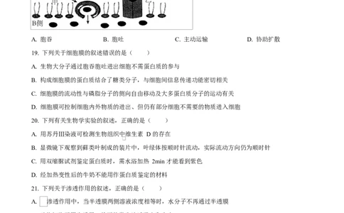 黑龙江省牡丹江市第二高级中学2025-2026学年高一上学期期中考试生物试卷（原卷版）_2025年12月高一试卷_251204黑龙江省牡丹江市第二高级中学2025-2026学年高一上学期期中（全）