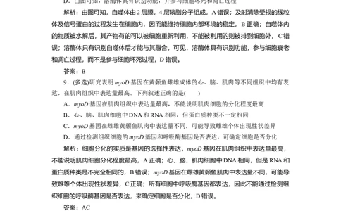 高中生物一轮复习专题训练：第13讲细胞的分化（word含解析）_新高考复习资料_2023年新高考复习资料_一轮复习_名师精选2023届新高考生物一轮复习专题训练卷(word版含解析）