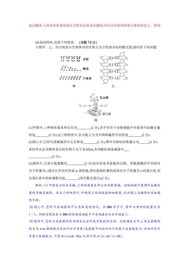 高一生物试题解析版_2025年10月高一试卷_251029湖北省部分高中协作体2025-2026学年高一上学期10月月考_湖北省部分高中协作体2025-2026学年高一上学期10月月考生物试题含答案