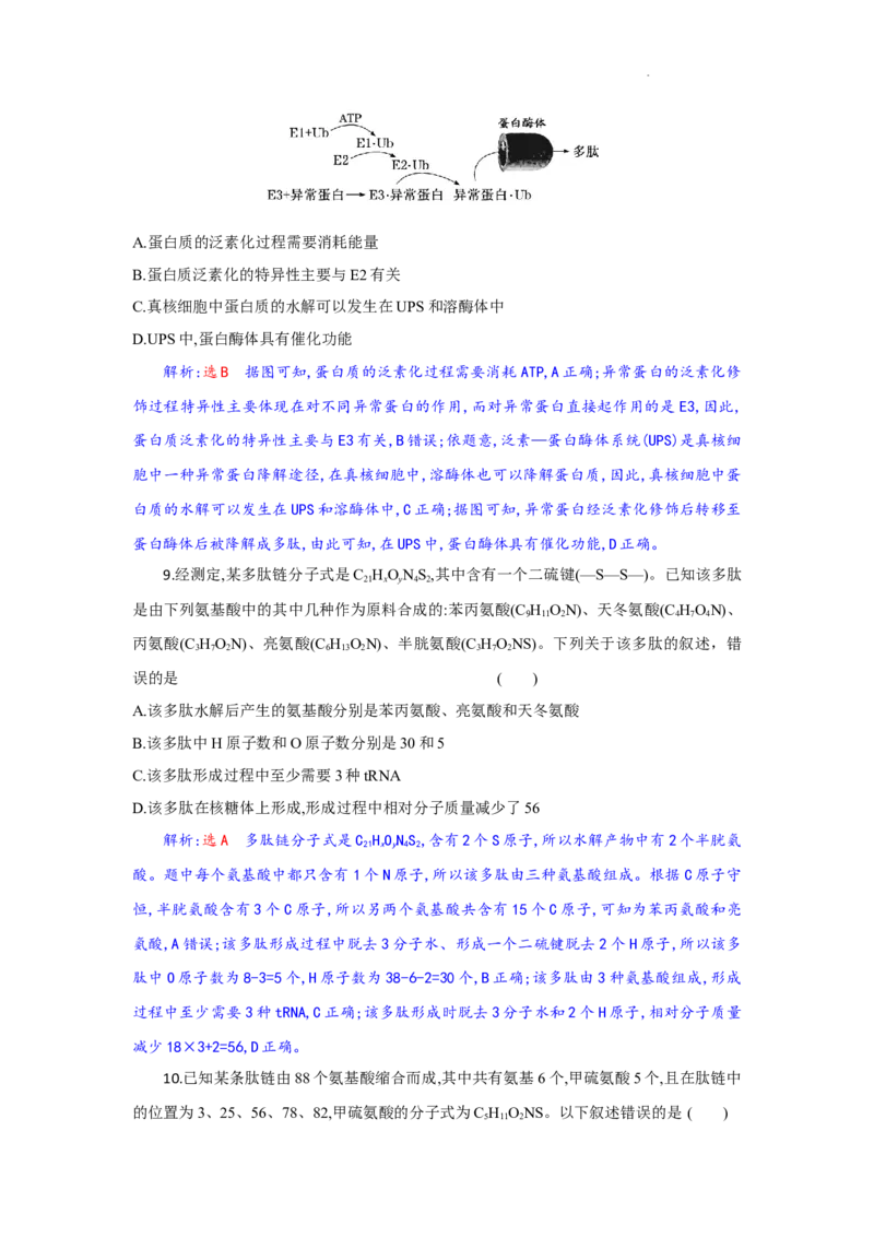 高一生物试题解析版_2025年10月高一试卷_251029湖北省部分高中协作体2025-2026学年高一上学期10月月考_湖北省部分高中协作体2025-2026学年高一上学期10月月考生物试题含答案
