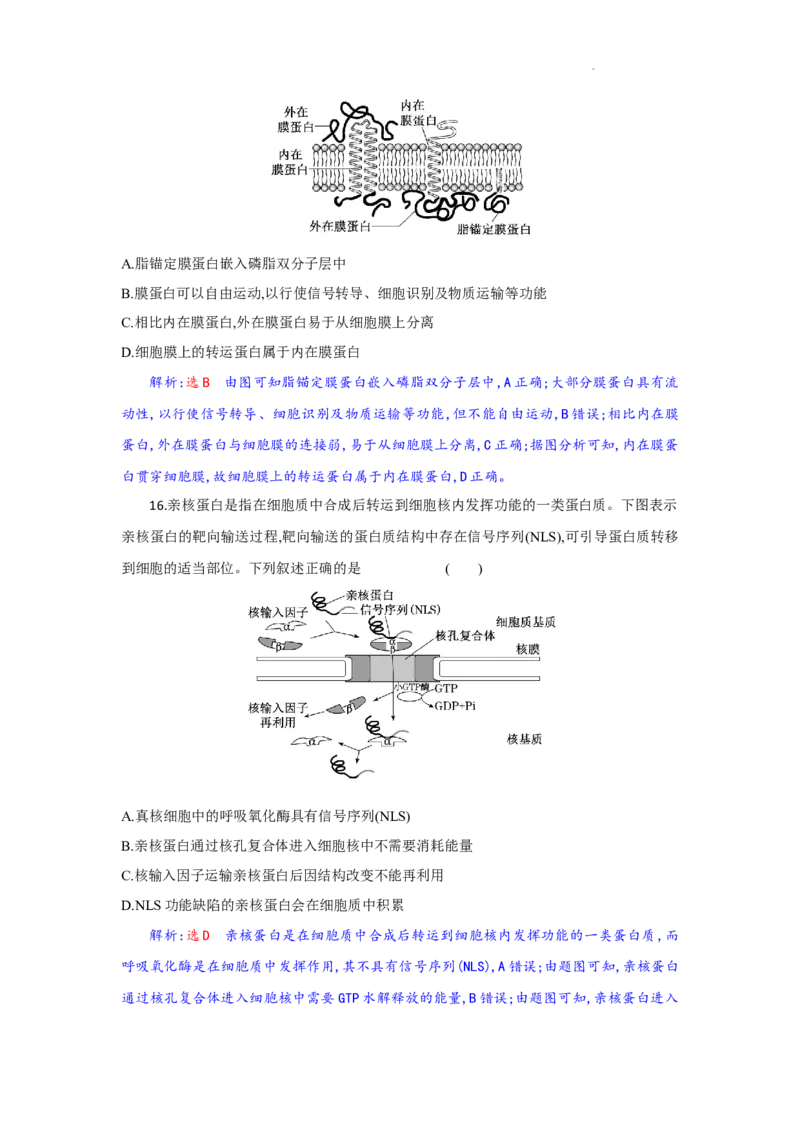 高一生物试题解析版_2025年10月高一试卷_251029湖北省部分高中协作体2025-2026学年高一上学期10月月考_湖北省部分高中协作体2025-2026学年高一上学期10月月考生物试题含答案