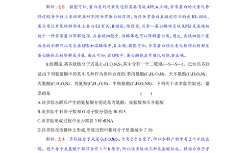 高一生物试题解析版_2025年10月高一试卷_251029湖北省部分高中协作体2025-2026学年高一上学期10月月考_湖北省部分高中协作体2025-2026学年高一上学期10月月考生物试题含答案