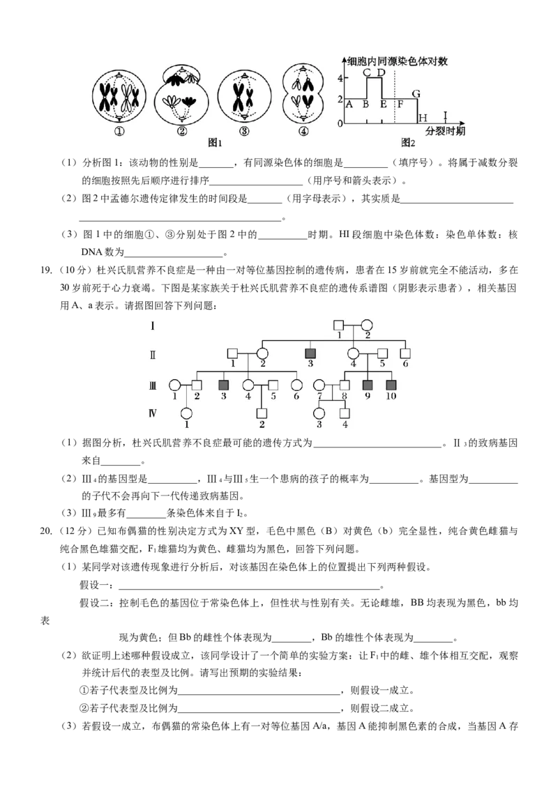 （生物学）2024级&ldquo;贵百河&rdquo;3月高一月考_2025年04月试卷_0401广西壮族自治区&ldquo;贵百河&rdquo;联考2024-2025学年高一下学期3月月考