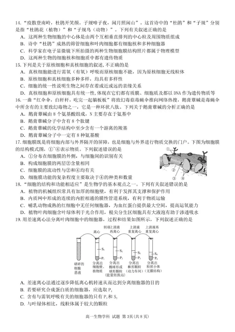 高一生物试题_2025年12月高一试卷_251204浙江省金兰教育合作组织2025-2026学年高一上学期11月期中联考（全）