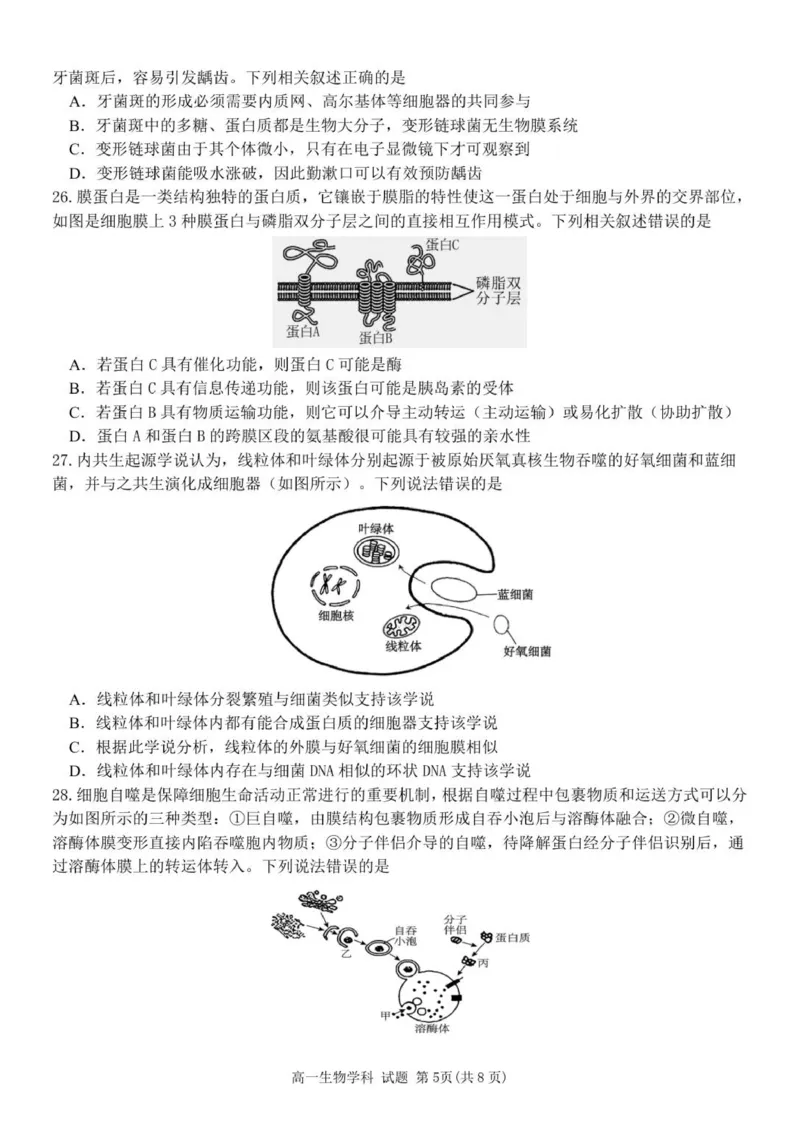 高一生物试题_2025年12月高一试卷_251204浙江省金兰教育合作组织2025-2026学年高一上学期11月期中联考（全）
