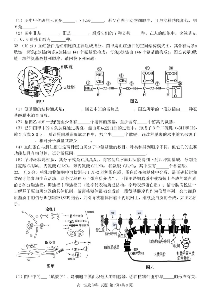 高一生物试题_2025年12月高一试卷_251204浙江省金兰教育合作组织2025-2026学年高一上学期11月期中联考（全）