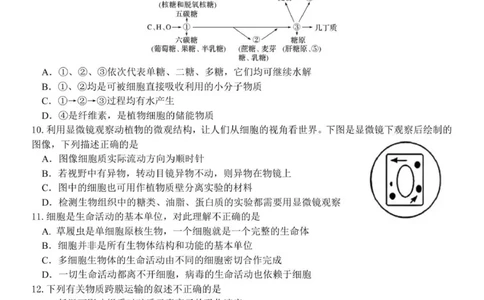 高一生物试题_2025年12月高一试卷_251204浙江省金兰教育合作组织2025-2026学年高一上学期11月期中联考（全）