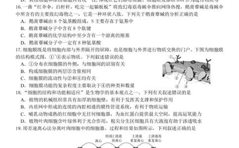 高一生物试题_2025年12月高一试卷_251204浙江省金兰教育合作组织2025-2026学年高一上学期11月期中联考（全）