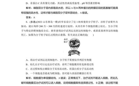 高中生物一轮复习专题训练：第4讲细胞膜与细胞核(word版含解析）_新高考复习资料_2023年新高考复习资料_一轮复习_名师精选2023届新高考生物一轮复习专题训练卷(word版含解析）