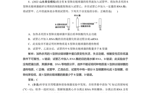 高中生物一轮复习专题训练：第17讲DNA是主要的遗传物质（word含解析）_新高考复习资料_2023年新高考复习资料_一轮复习_名师精选2023届新高考生物一轮复习专题训练卷(word版含解析）