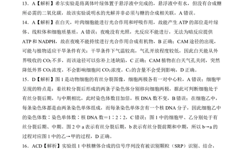 高一定制（12月）生物答案_2024年12月试卷_1219山东省百师联考2024-2025学年高一上学期12月月考试题_山东省百师联考2024-2025学年高一上学期12月月考生物试题PDF版含答案