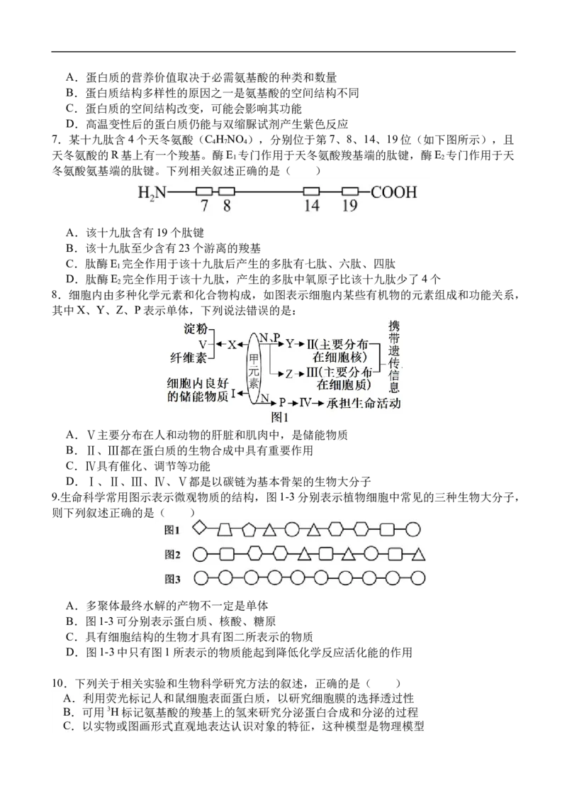 高一生物月考2_2026年01月高一试卷_260109河南省实验中学2025-2026学年高一上学期第二次月考（全）