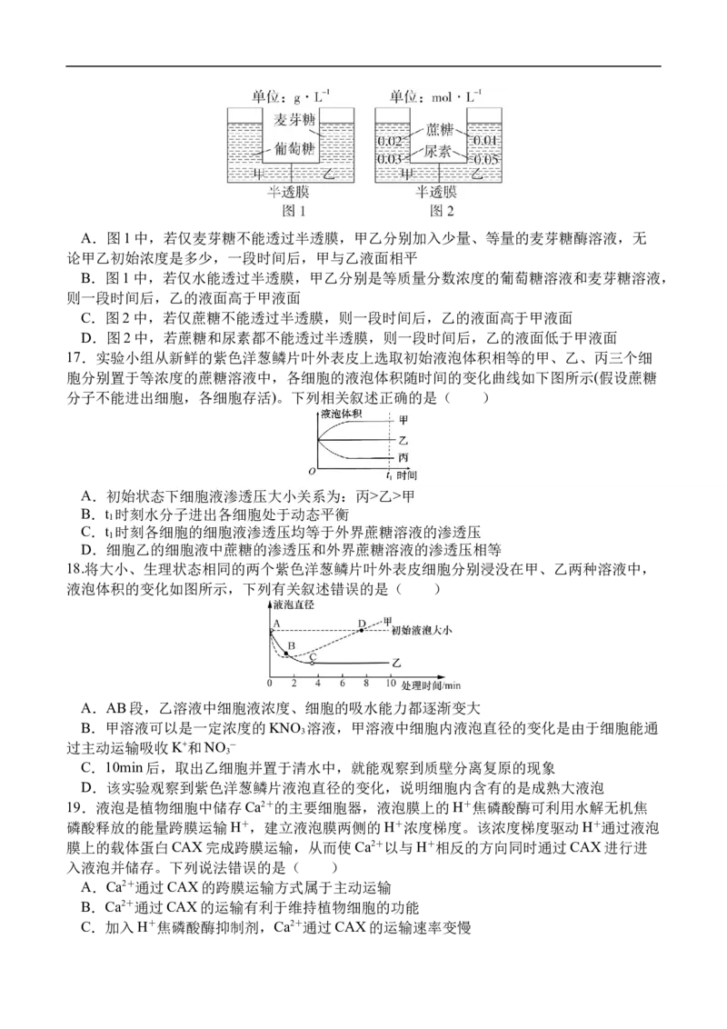 高一生物月考2_2026年01月高一试卷_260109河南省实验中学2025-2026学年高一上学期第二次月考（全）