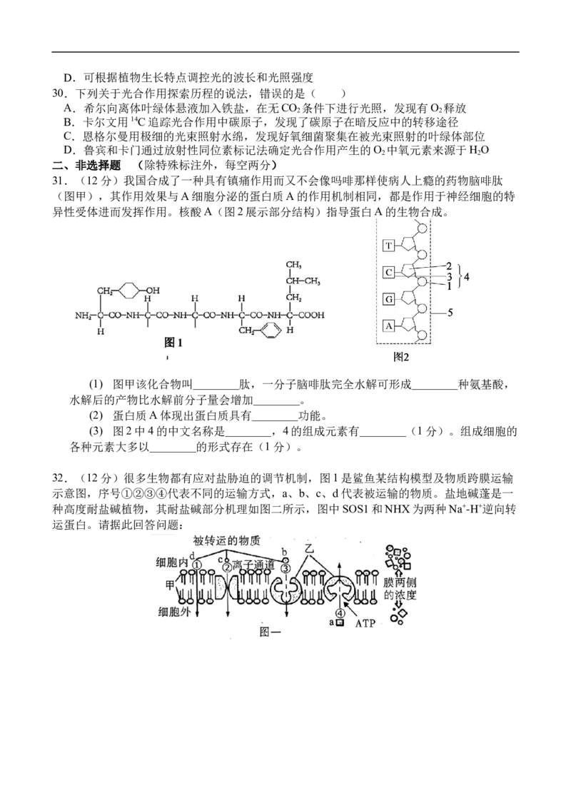 高一生物月考2_2026年01月高一试卷_260109河南省实验中学2025-2026学年高一上学期第二次月考（全）