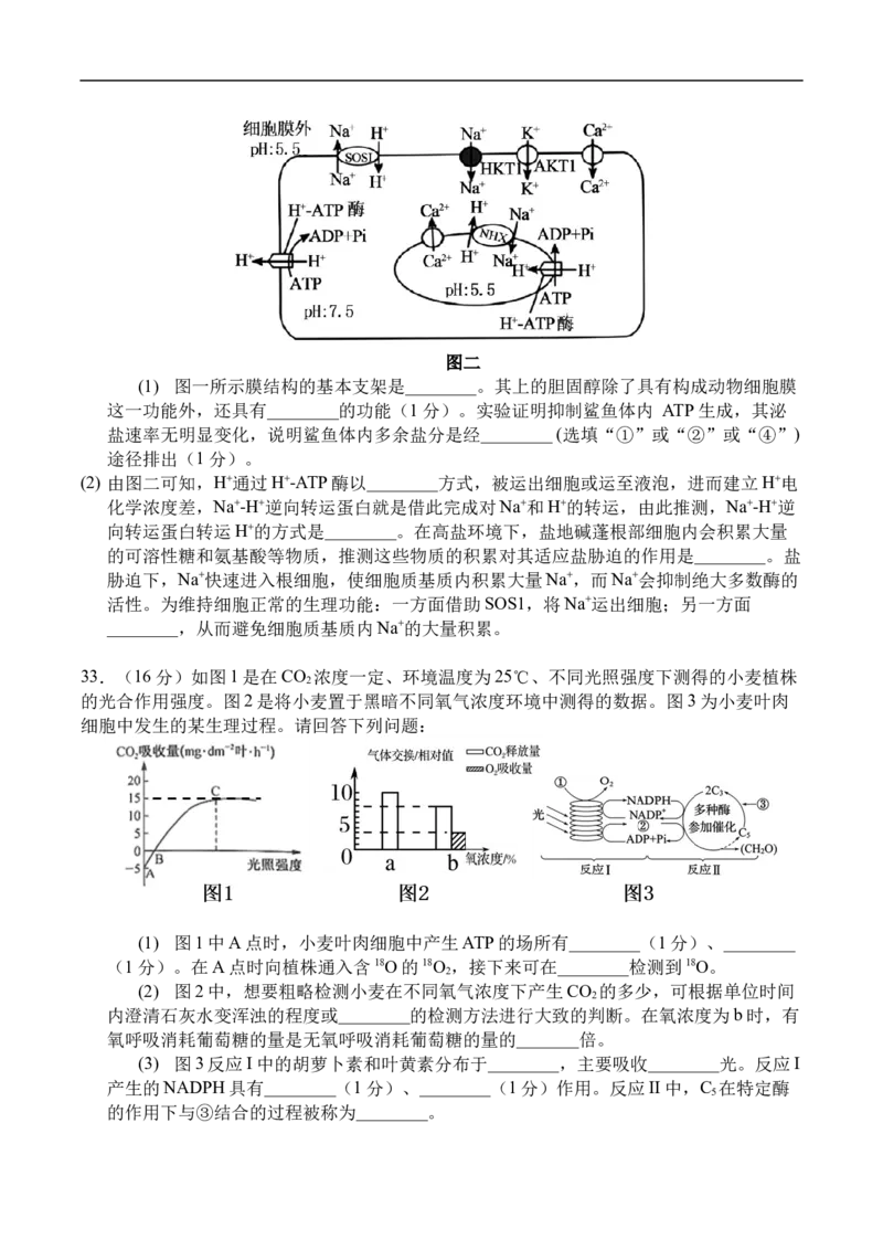 高一生物月考2_2026年01月高一试卷_260109河南省实验中学2025-2026学年高一上学期第二次月考（全）