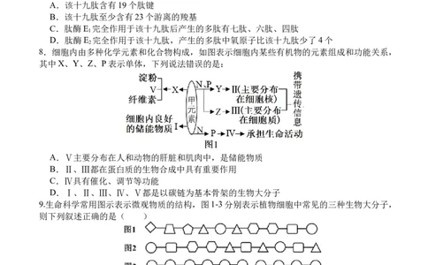 高一生物月考2_2026年01月高一试卷_260109河南省实验中学2025-2026学年高一上学期第二次月考（全）