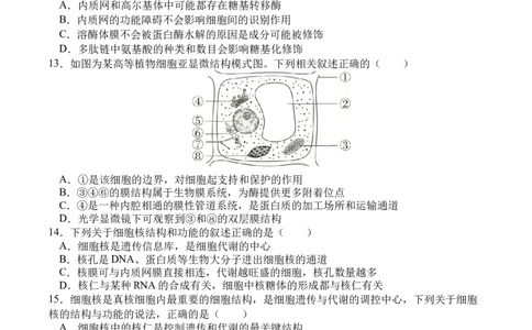 高一生物月考2_2026年01月高一试卷_260109河南省实验中学2025-2026学年高一上学期第二次月考（全）