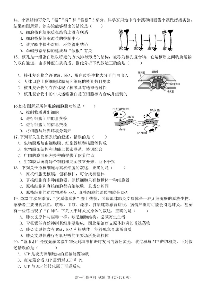 高一生物试题_2025年11月高一试卷_251126浙江省五湖联盟2025-2026学年高一上学期期中联考(全）_浙江省五湖联盟2025-2026学年高一上学期期中联考生物试题扫描版含答案