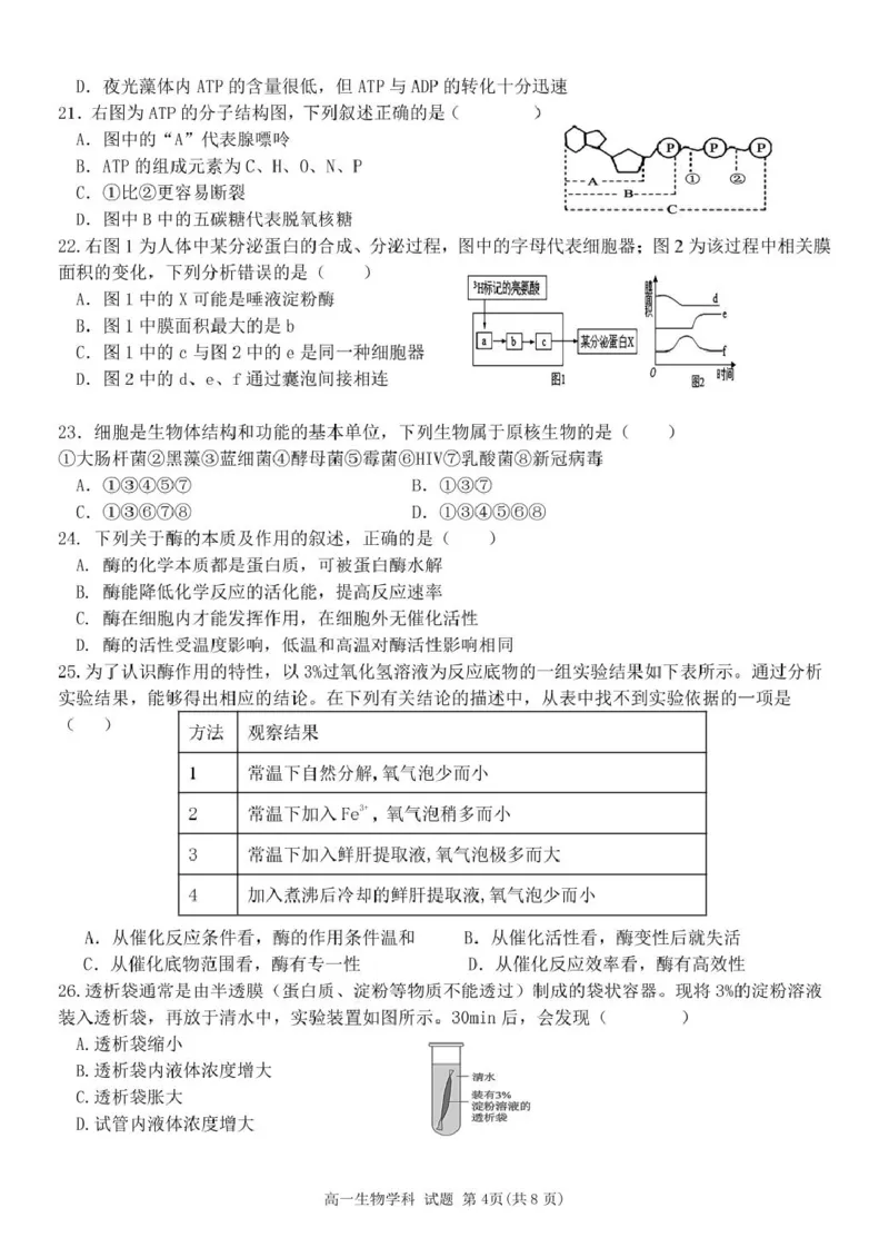 高一生物试题_2025年11月高一试卷_251126浙江省五湖联盟2025-2026学年高一上学期期中联考(全）_浙江省五湖联盟2025-2026学年高一上学期期中联考生物试题扫描版含答案