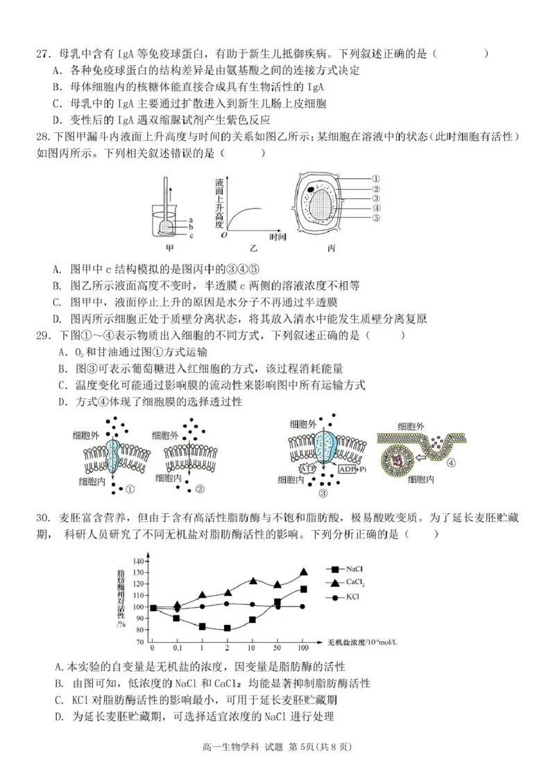 高一生物试题_2025年11月高一试卷_251126浙江省五湖联盟2025-2026学年高一上学期期中联考(全）_浙江省五湖联盟2025-2026学年高一上学期期中联考生物试题扫描版含答案