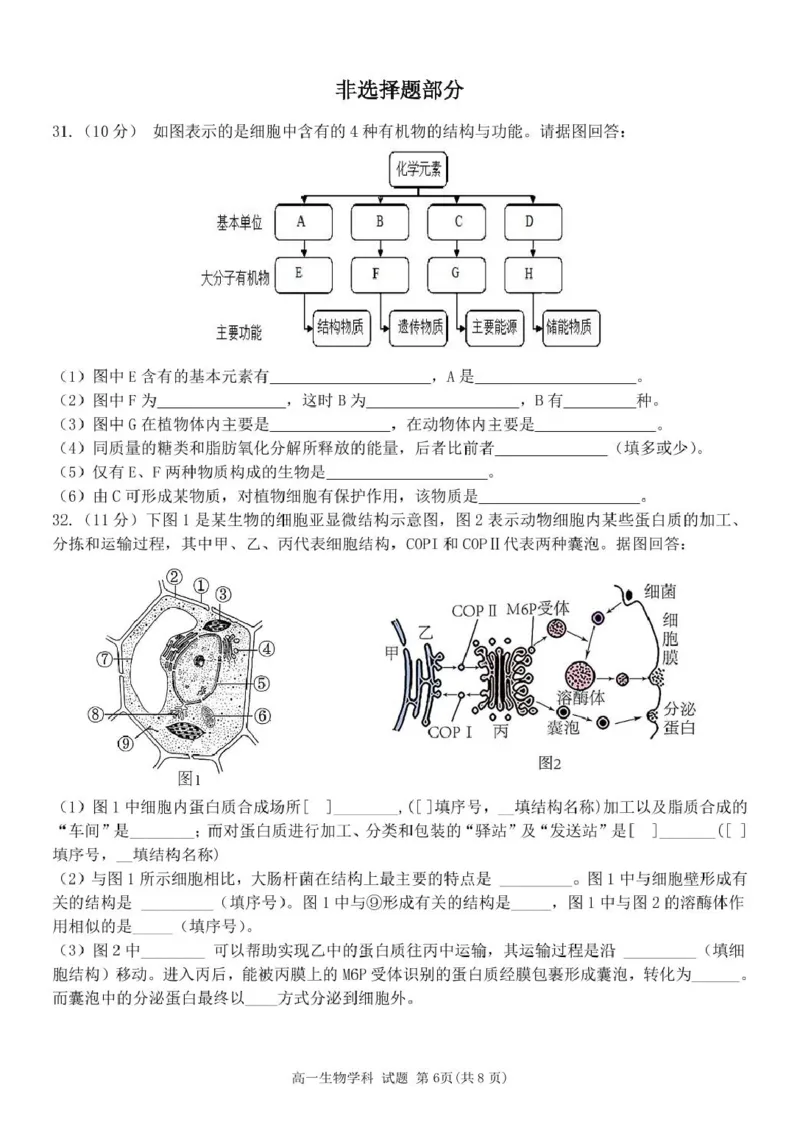 高一生物试题_2025年11月高一试卷_251126浙江省五湖联盟2025-2026学年高一上学期期中联考(全）_浙江省五湖联盟2025-2026学年高一上学期期中联考生物试题扫描版含答案