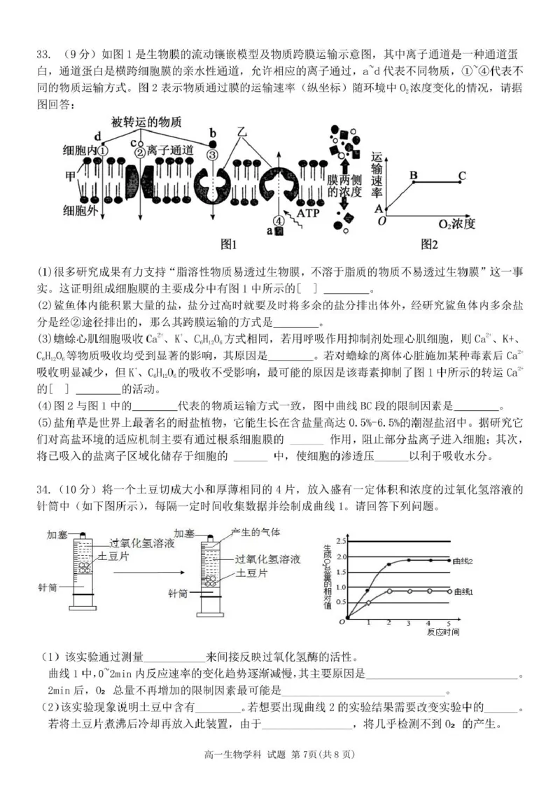 高一生物试题_2025年11月高一试卷_251126浙江省五湖联盟2025-2026学年高一上学期期中联考(全）_浙江省五湖联盟2025-2026学年高一上学期期中联考生物试题扫描版含答案