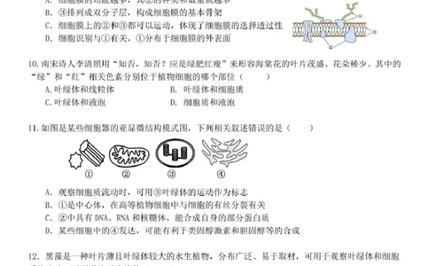 高一生物试题_2025年11月高一试卷_251126浙江省五湖联盟2025-2026学年高一上学期期中联考(全）_浙江省五湖联盟2025-2026学年高一上学期期中联考生物试题扫描版含答案