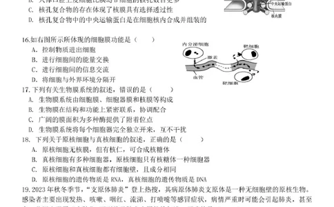 高一生物试题_2025年11月高一试卷_251126浙江省五湖联盟2025-2026学年高一上学期期中联考(全）_浙江省五湖联盟2025-2026学年高一上学期期中联考生物试题扫描版含答案