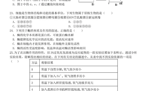 高一生物试题_2025年11月高一试卷_251126浙江省五湖联盟2025-2026学年高一上学期期中联考(全）_浙江省五湖联盟2025-2026学年高一上学期期中联考生物试题扫描版含答案