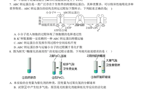高一生物试题_2026年04月高一试卷_260427浙江衢州五校联考2025-2026学年高一下学期期中考（全科）