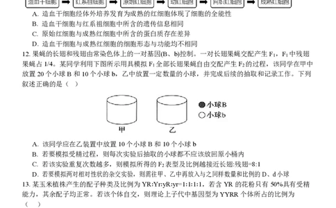 高一生物试题_2026年04月高一试卷_260427浙江衢州五校联考2025-2026学年高一下学期期中考（全科）
