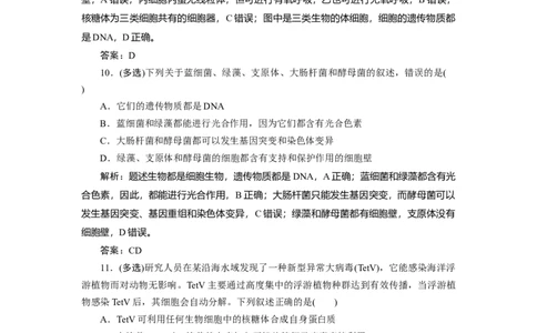 高中生物一轮复习专题训练：第1讲走近细胞(word版含解析）_新高考复习资料_2023年新高考复习资料_一轮复习_名师精选2023届新高考生物一轮复习专题训练卷(word版含解析）