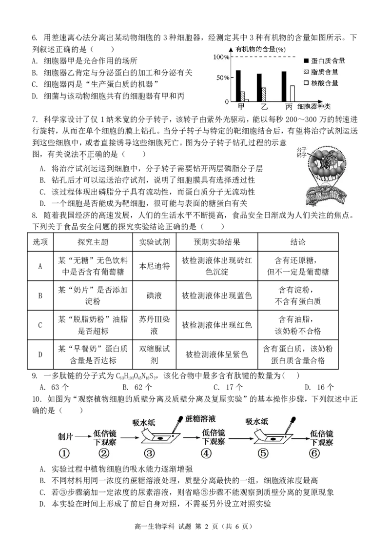 高一生物试题_2024年11月试卷_1119浙江省温州市新力量联盟2024-2025学年高一上学期期中联考_浙江省温州新力量联盟2024-2025学年高一上学期期中联考生物试题