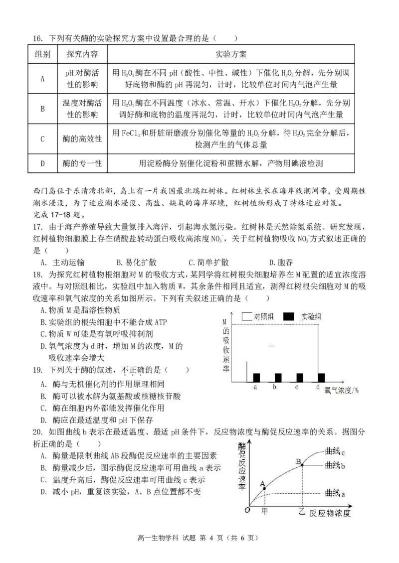 高一生物试题_2024年11月试卷_1119浙江省温州市新力量联盟2024-2025学年高一上学期期中联考_浙江省温州新力量联盟2024-2025学年高一上学期期中联考生物试题