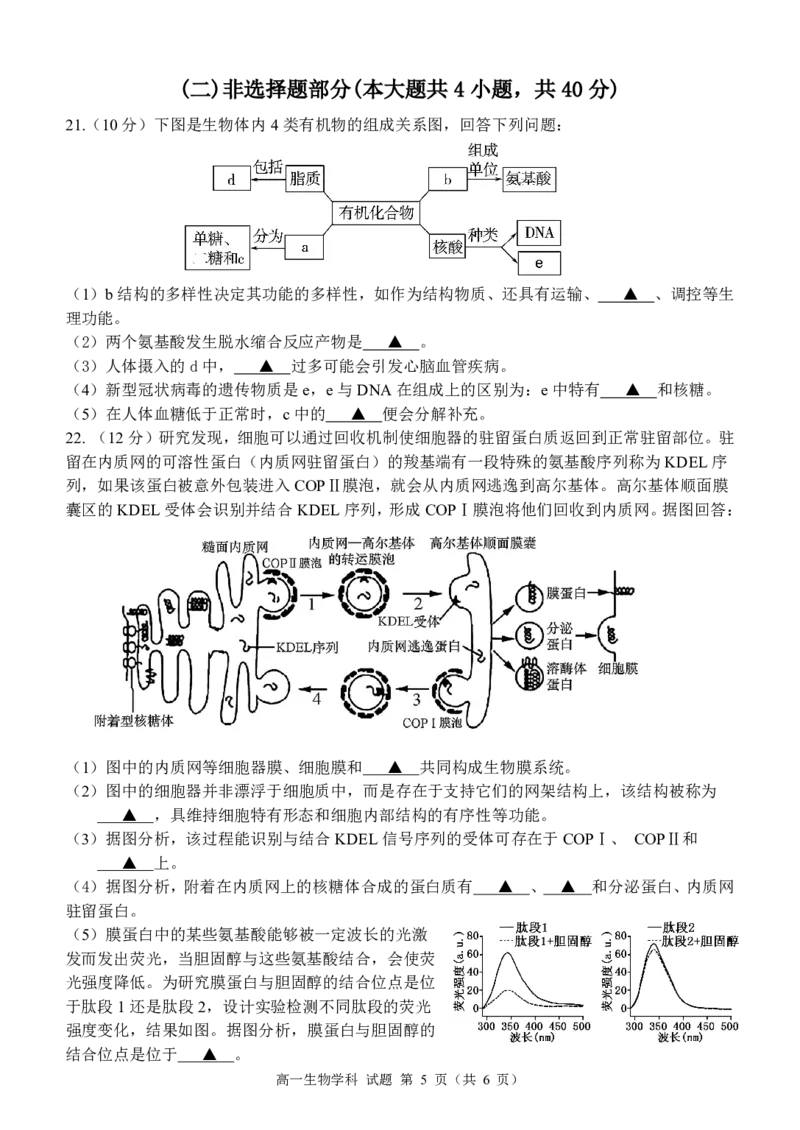 高一生物试题_2024年11月试卷_1119浙江省温州市新力量联盟2024-2025学年高一上学期期中联考_浙江省温州新力量联盟2024-2025学年高一上学期期中联考生物试题