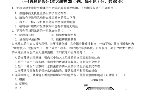 高一生物试题_2024年11月试卷_1119浙江省温州市新力量联盟2024-2025学年高一上学期期中联考_浙江省温州新力量联盟2024-2025学年高一上学期期中联考生物试题