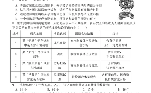 高一生物试题_2024年11月试卷_1119浙江省温州市新力量联盟2024-2025学年高一上学期期中联考_浙江省温州新力量联盟2024-2025学年高一上学期期中联考生物试题