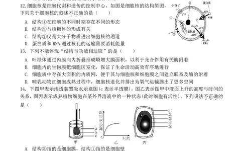 高一生物试题_2024年11月试卷_1119浙江省温州市新力量联盟2024-2025学年高一上学期期中联考_浙江省温州新力量联盟2024-2025学年高一上学期期中联考生物试题
