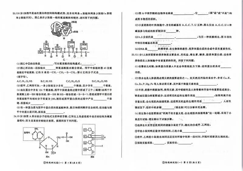 黑龙江省双鸭山市部分学校2025-2026学年高一上学期9月月考生物试题_2025年10月高一试卷_251003黑龙江省双鸭山市部分学校2025-2026学年高一上学期9月月考