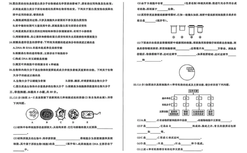 黑龙江省双鸭山市部分学校2025-2026学年高一上学期9月月考生物试题_2025年10月高一试卷_251003黑龙江省双鸭山市部分学校2025-2026学年高一上学期9月月考