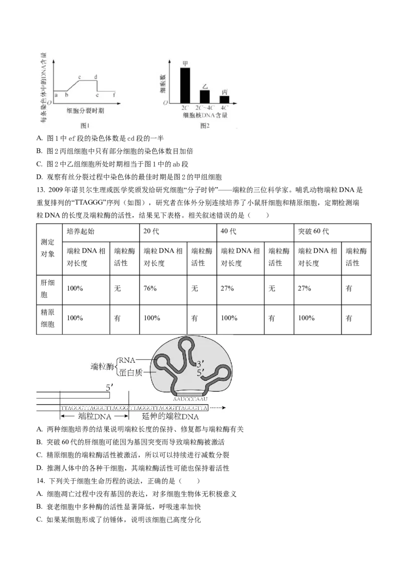 黑龙江省大庆铁人中学2022-2023学年高三上学期期末阶段考试生物试题_生物高考模拟题_老高考_2023年
