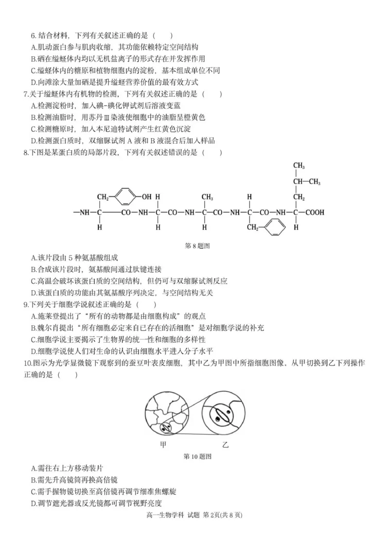 高一生物试题_2025年12月高一试卷_251209浙江省温州市浙南名校联盟2025-2026学年高一上学期11月期中（全）_浙江省浙南名校联盟2025-2026学年高一上学期11月期中生物试题（PDF版，含答案）