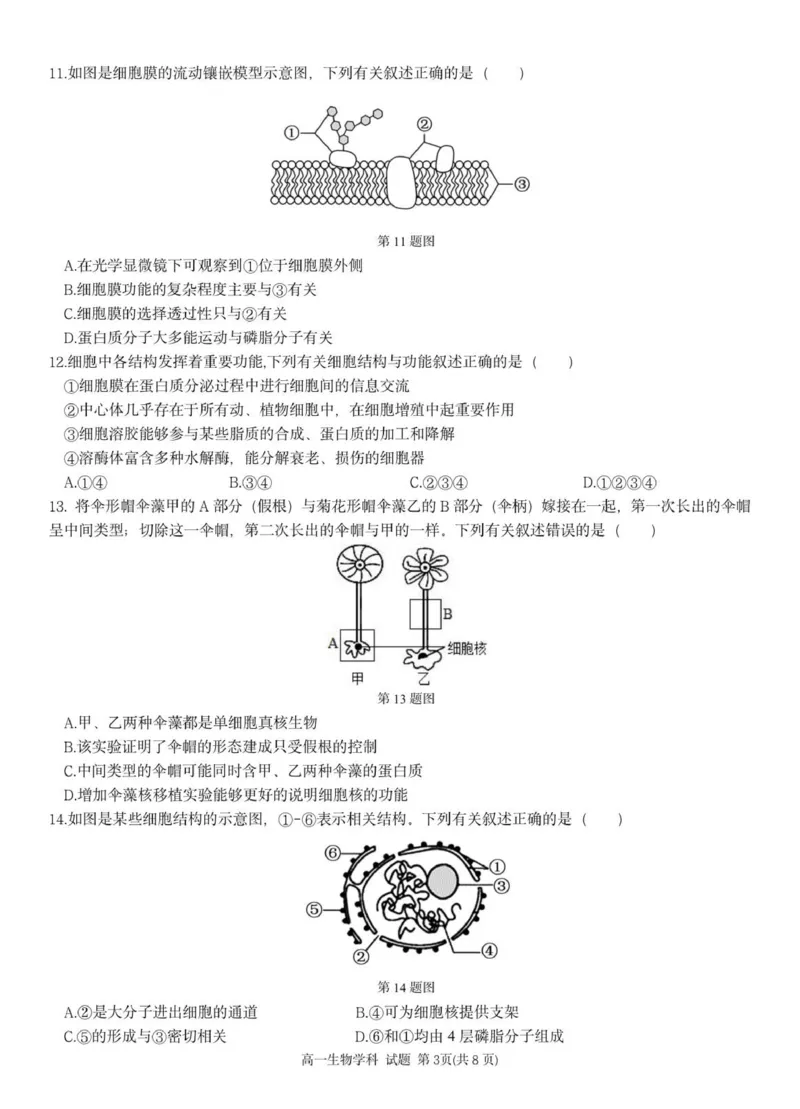 高一生物试题_2025年12月高一试卷_251209浙江省温州市浙南名校联盟2025-2026学年高一上学期11月期中（全）_浙江省浙南名校联盟2025-2026学年高一上学期11月期中生物试题（PDF版，含答案）
