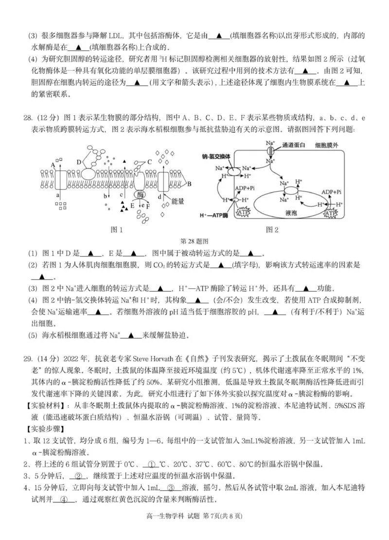 高一生物试题_2025年12月高一试卷_251209浙江省温州市浙南名校联盟2025-2026学年高一上学期11月期中（全）_浙江省浙南名校联盟2025-2026学年高一上学期11月期中生物试题（PDF版，含答案）