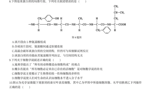 高一生物试题_2025年12月高一试卷_251209浙江省温州市浙南名校联盟2025-2026学年高一上学期11月期中（全）_浙江省浙南名校联盟2025-2026学年高一上学期11月期中生物试题（PDF版，含答案）